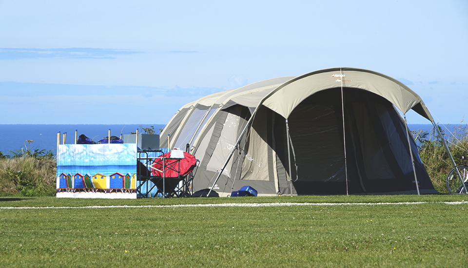 Grass Multi-Serviced Pitch
