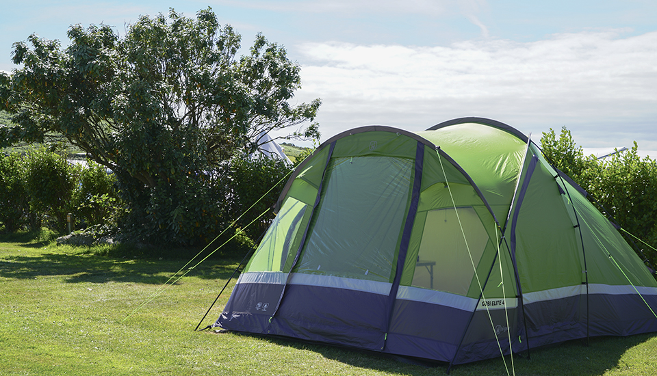 Backpacker Pitch