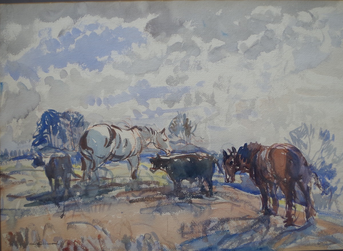 Cattle on Bale's Farm, Misterton