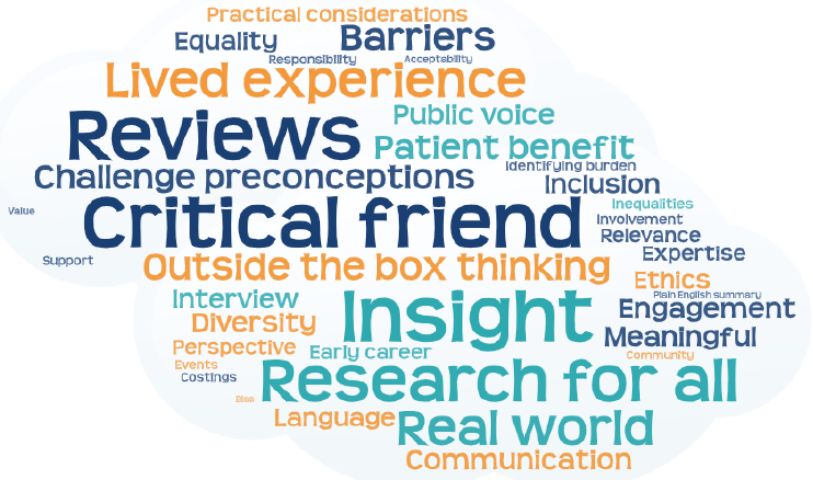 Word cloud of public contributor roles