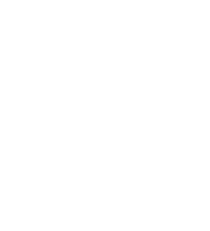 Your Idea