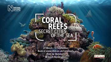 Coral Reefs Secret Cities of the Sea Exhibition Coral Reefs